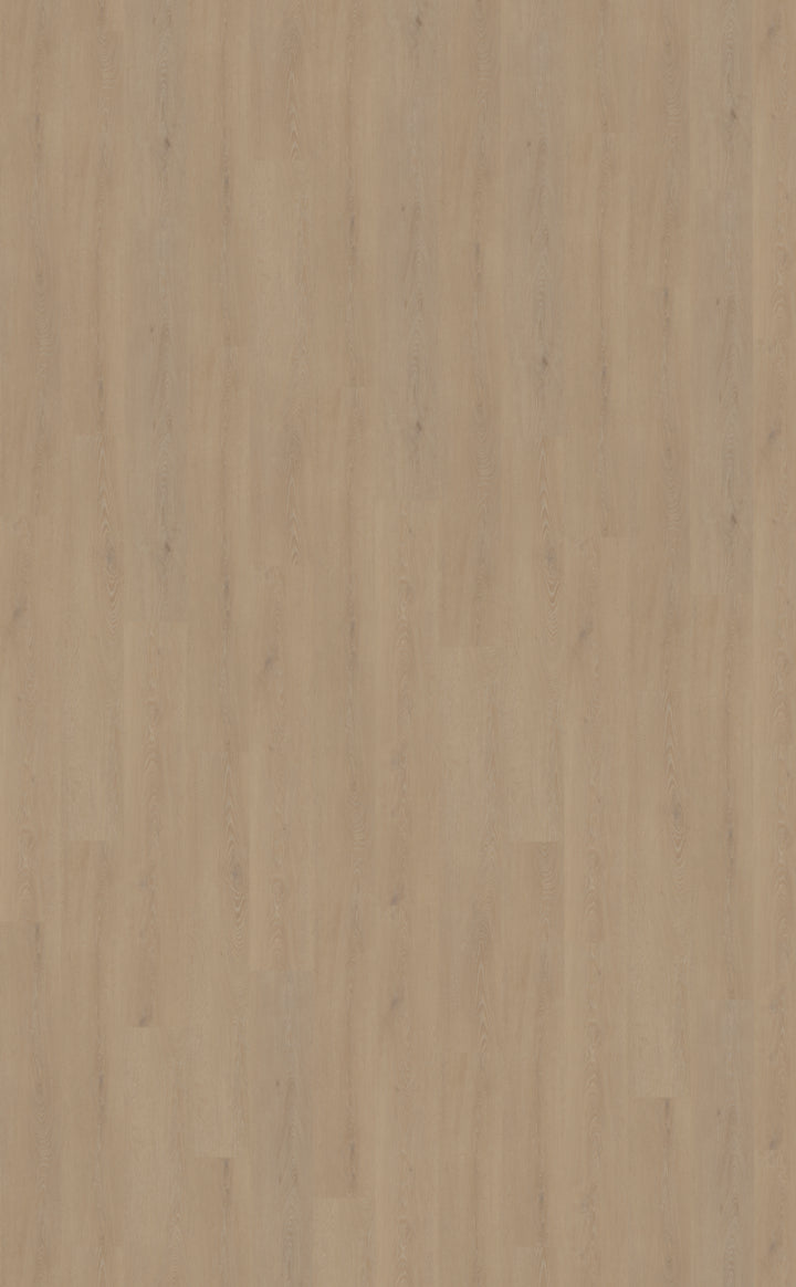 Belakos Cervo Rigid Click