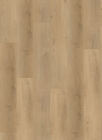 Gelasta Vario Rigid Click