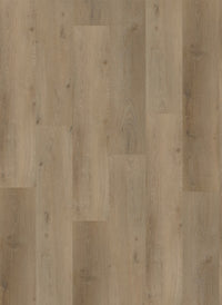 Gelasta Vario Rigid Click