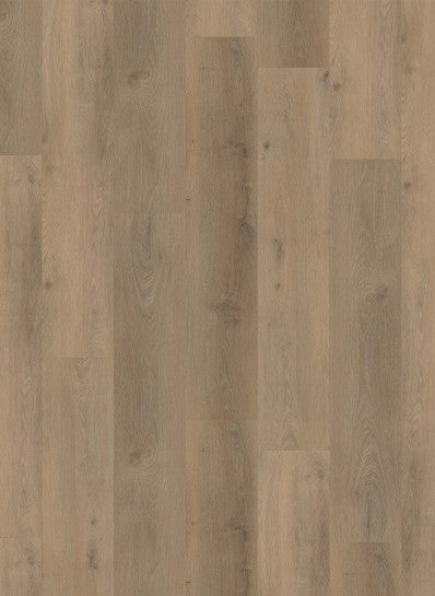 Gelasta Country Dryback