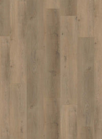 Gelasta Country Dryback
