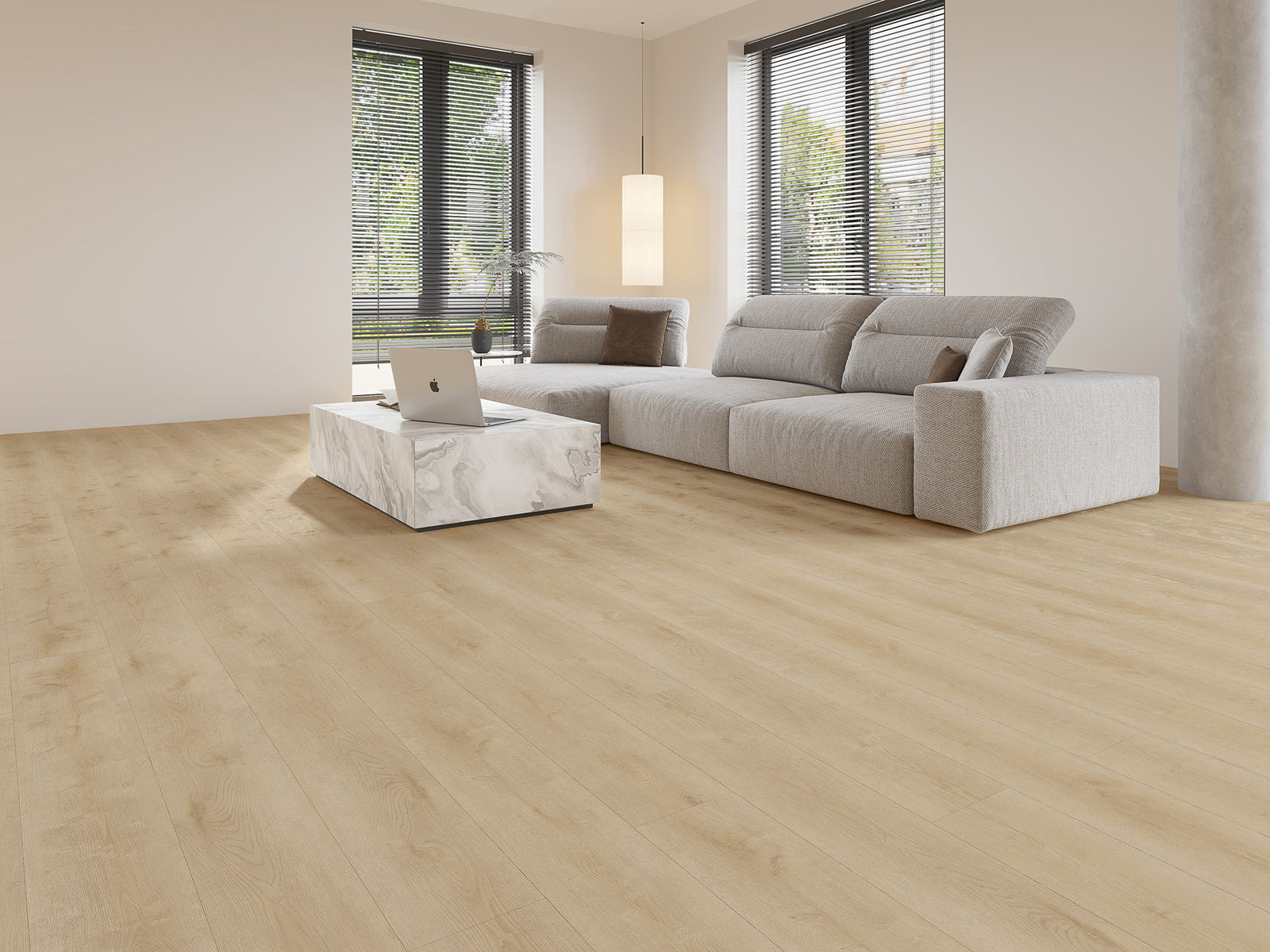 Gelasta Dynamic 2500 (dryback) Natural light
