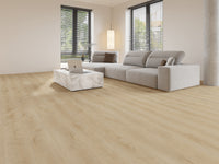Gelasta Dynamic 2500 (dryback) Natural light
