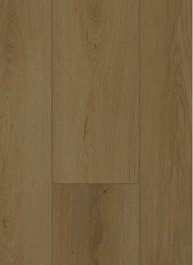 Gelasta Firmfit Dryback