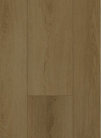 Gelasta Firmfit Dryback