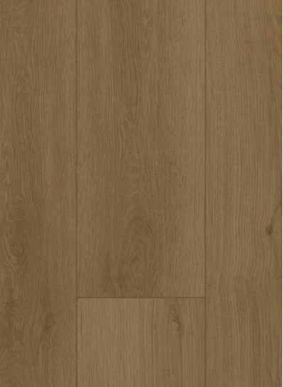 Gelasta Firmfit Silent Rigid Click
