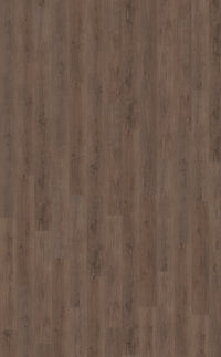 Belakos Monastro Rigid Click