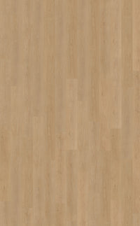Belakos Monastro Rigid Click