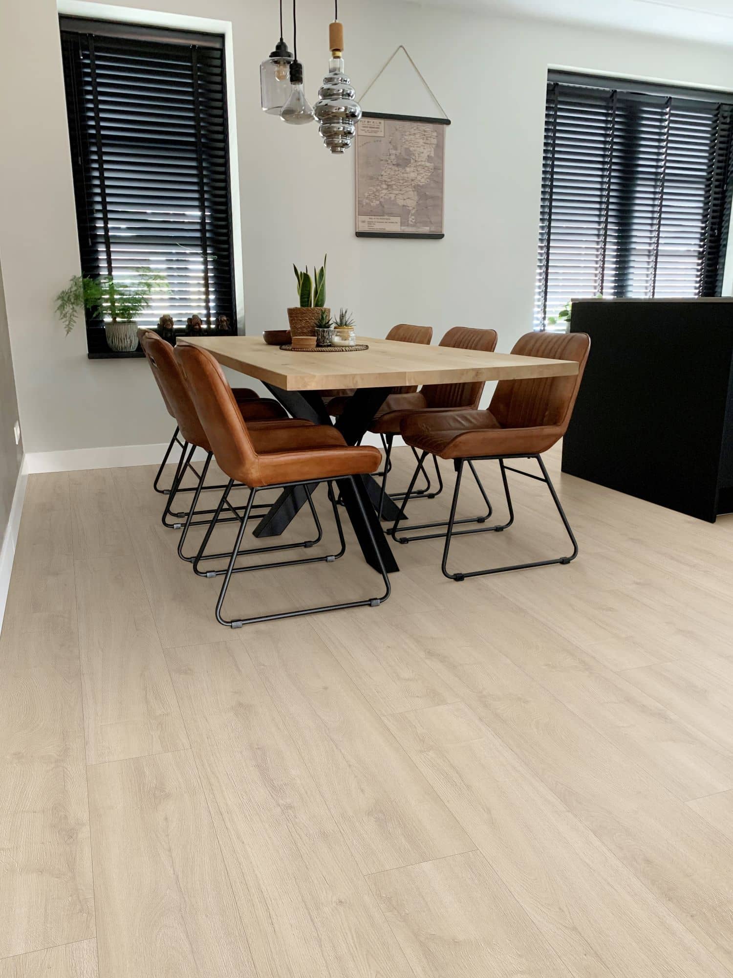Gelasta Oakland 6105 (dryback) Ivory
