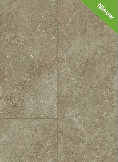 Gelasta Fusion Rigid Click