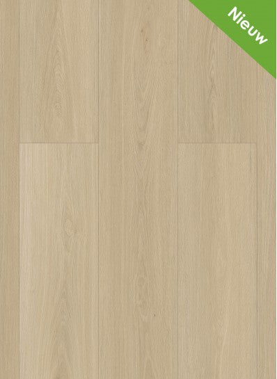 Gelasta Highland Rigid Click