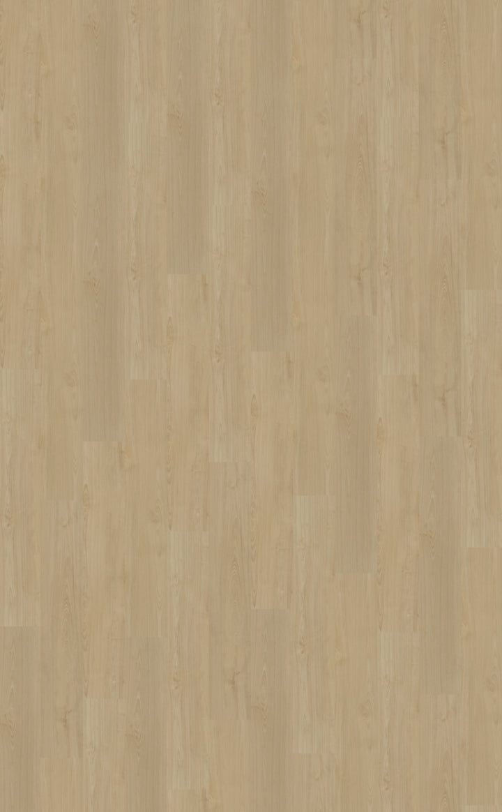 Belakos Portico Rigid Click