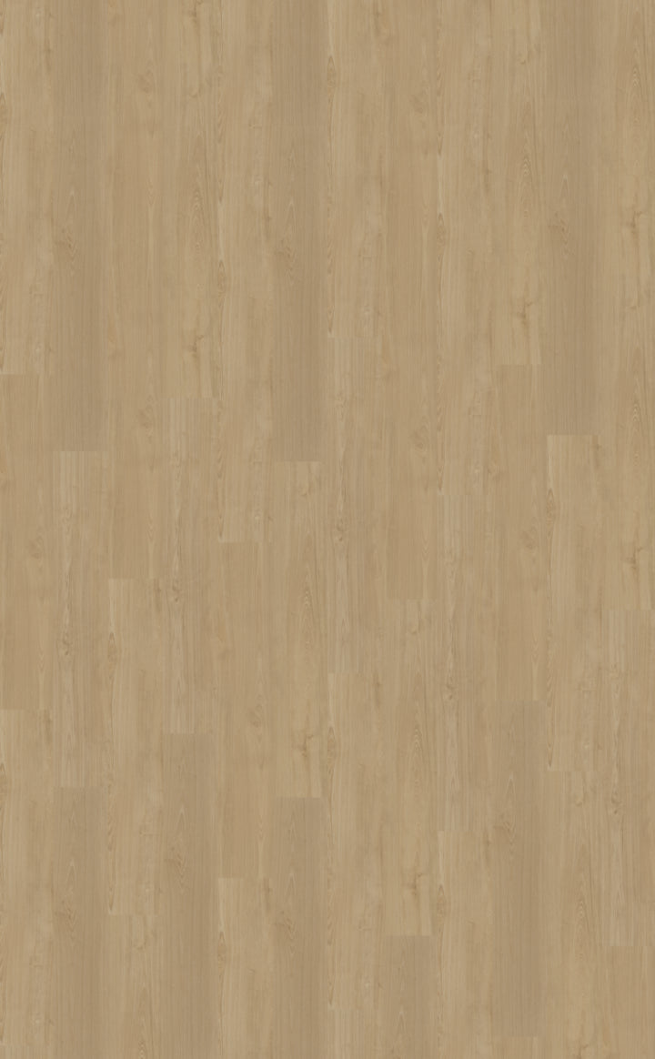 Belakos Portico Rigid Click