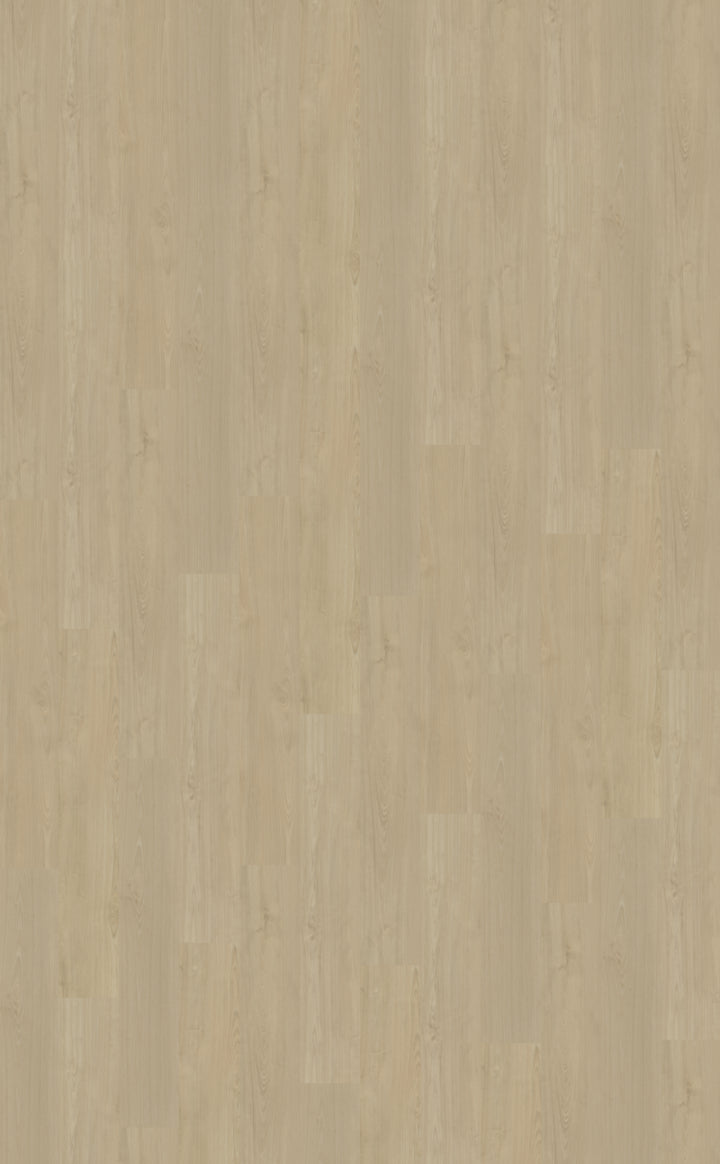 Belakos Portico Rigid Click