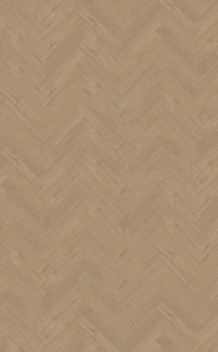 Belakos Portico Visgraat XL Dryback