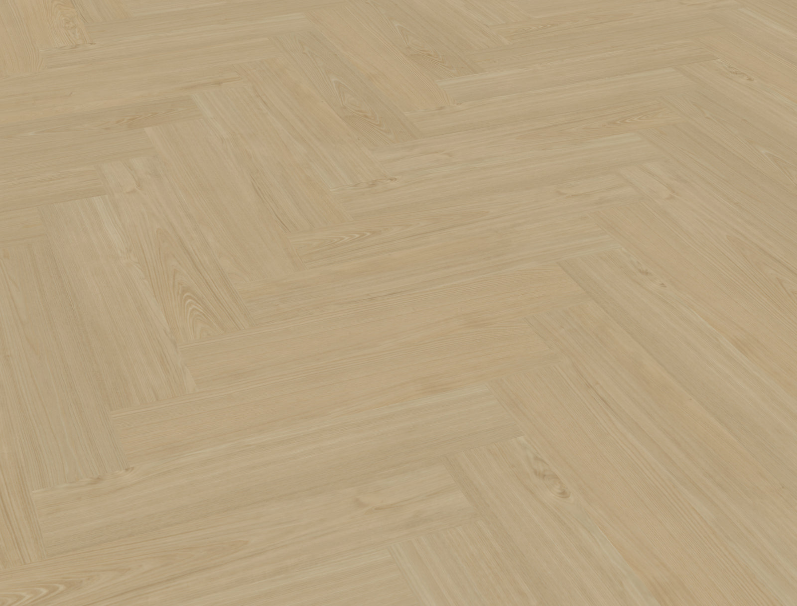 Belakos Portico Visgraat XL 55 Dryback-freelance groothandel