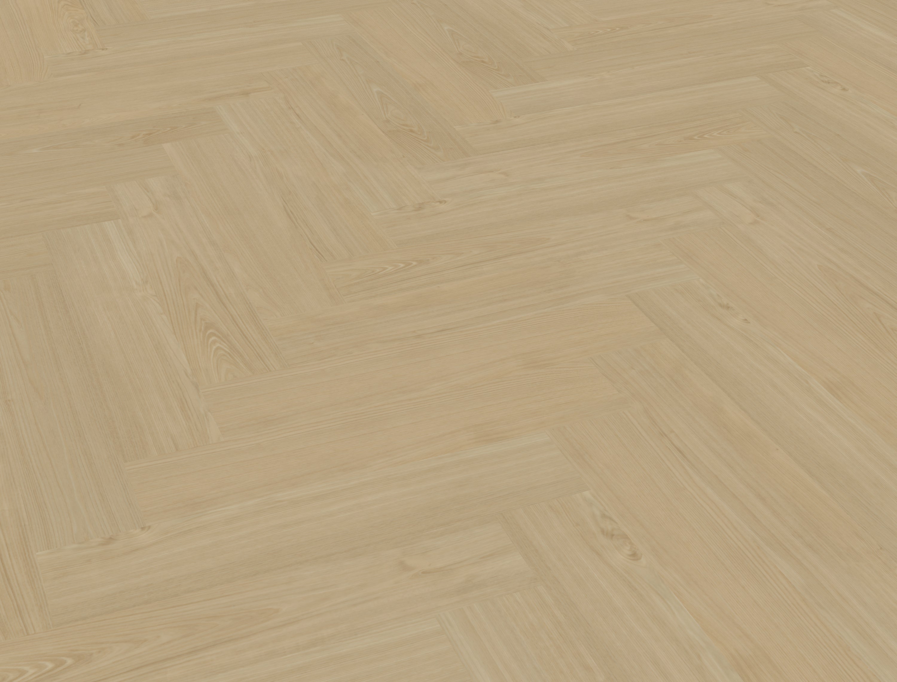 Belakos Portico Visgraat XL 55 Dryback-freelance groothandel