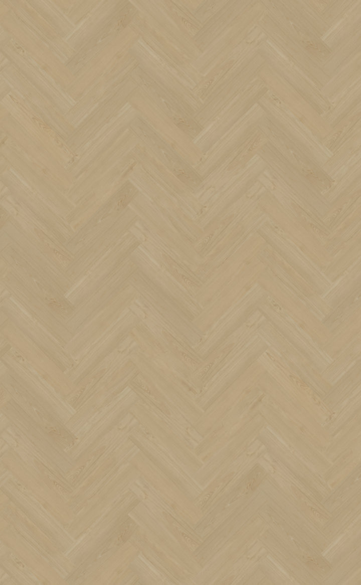 Belakos Portico Visgraat XL Dryback