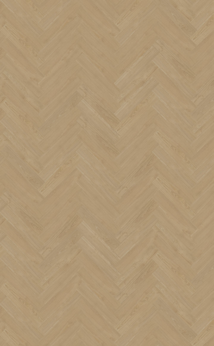 Belakos Portico Visgraat XL Dryback