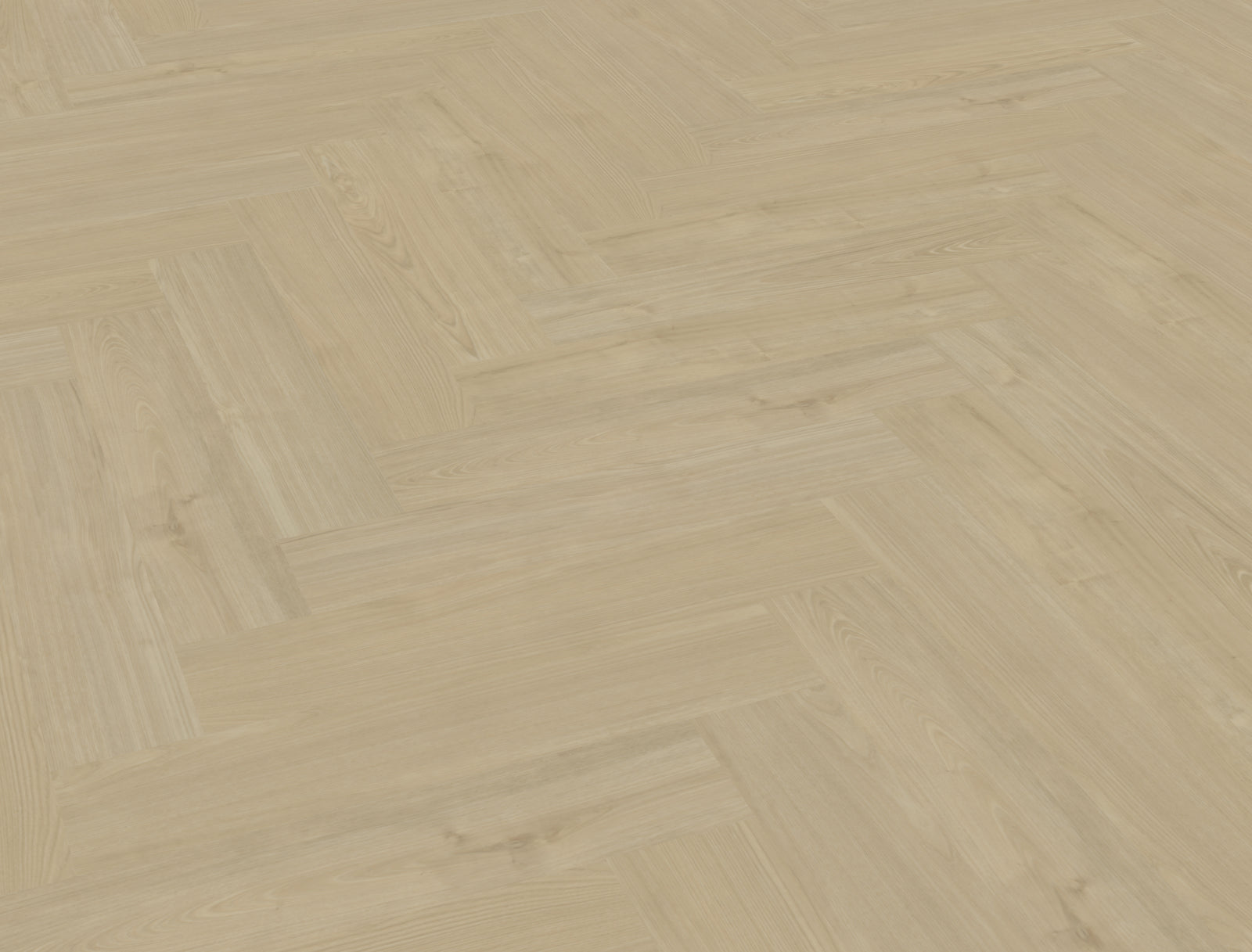 Belakos Portico Visgraat XL 57 Dryback-freelance groothandel
