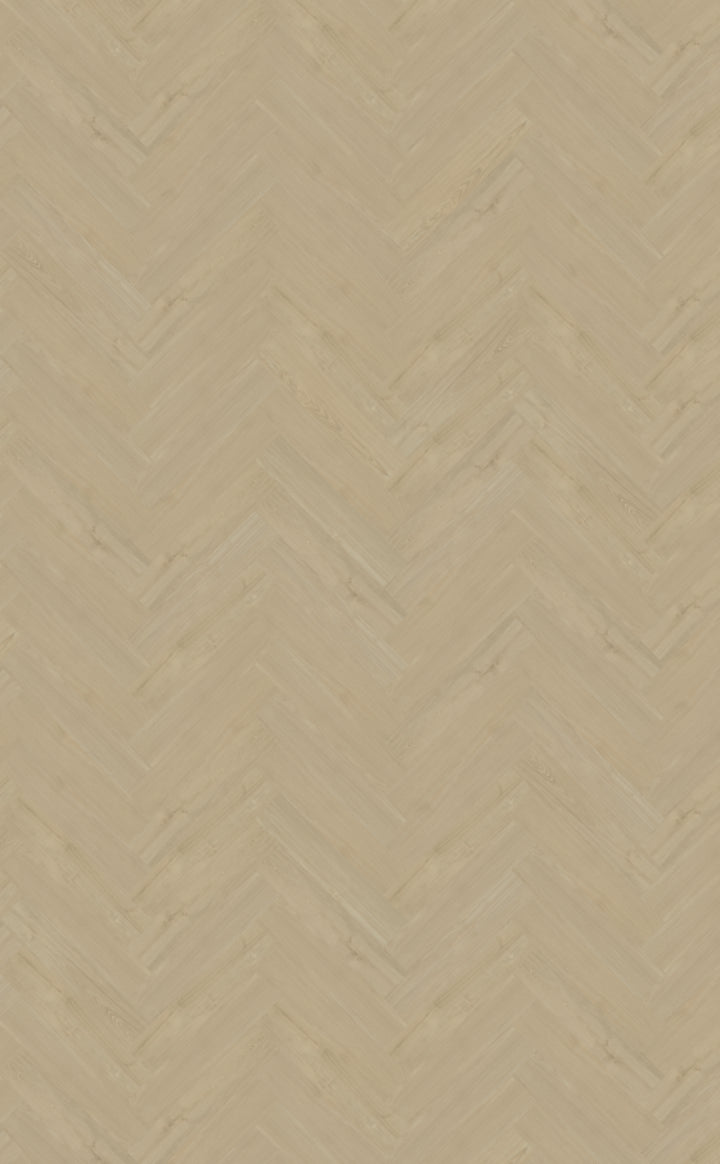 Belakos Portico Visgraat XL Dryback