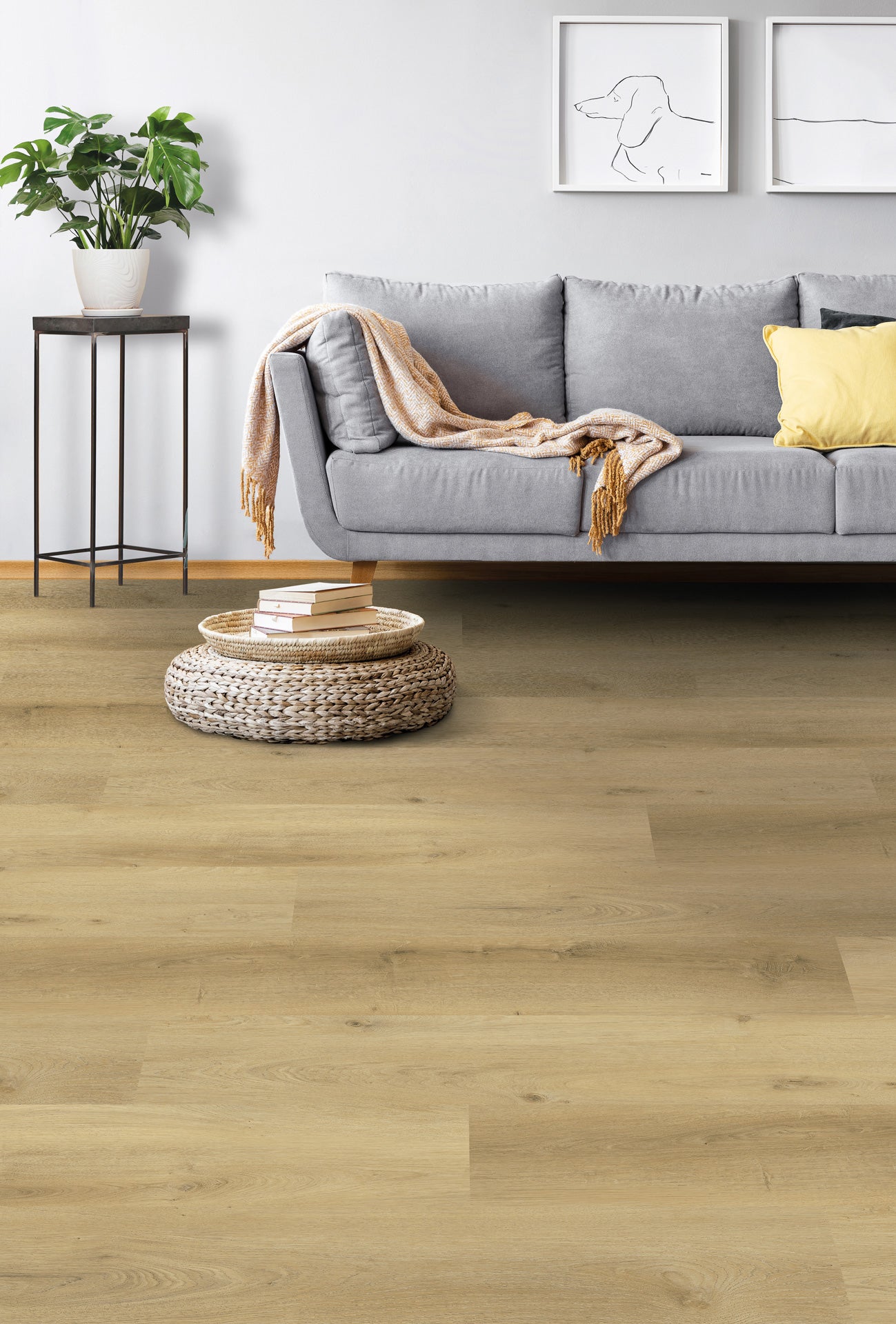 Gelasta Vario 4904 (dryback) Prestige Oak Light