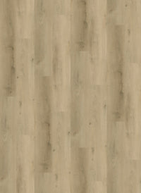 Gelasta Vario Rigid Click