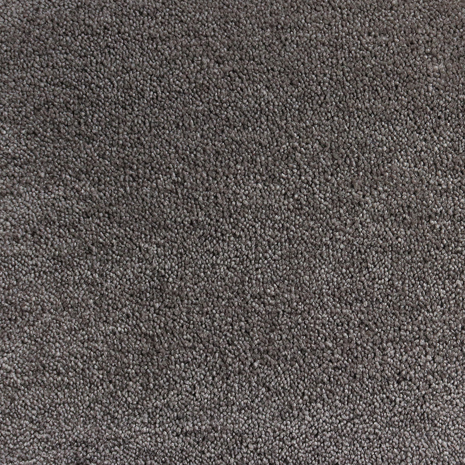 Interfloor Tapijt Velluto